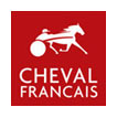 Solution d'Envoi d'emails par Cheval Français